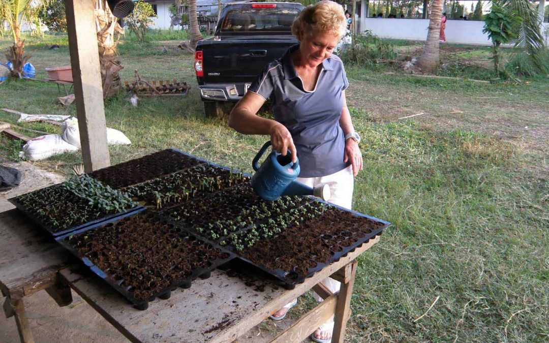 Aquaponics – Thailand